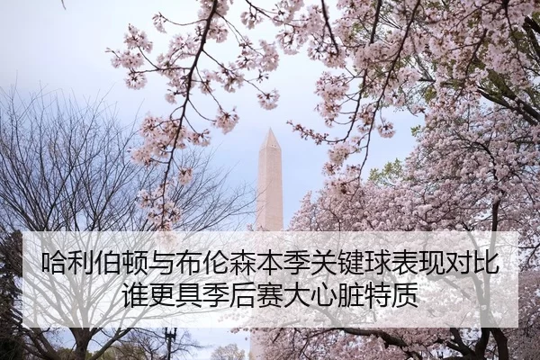 哈利伯顿与布伦森本季关键球表现对比谁更具季后赛大心脏特质