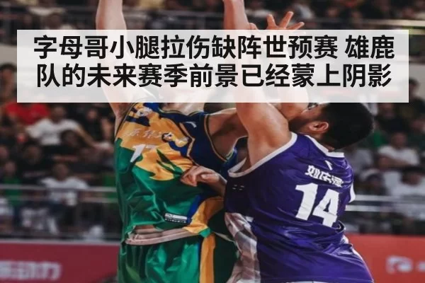 字母哥小腿拉伤缺阵世预赛 雄鹿队的未来赛季前景已经蒙上阴影