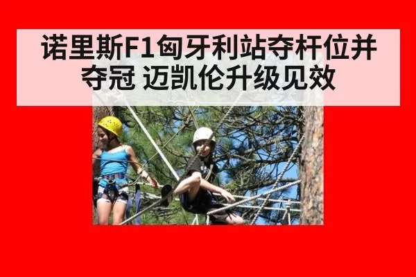 诺里斯F1匈牙利站夺杆位并夺冠 迈凯伦升级见效